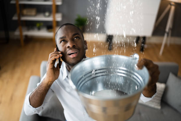 Best Professional water damage repair  in Grandview, IL