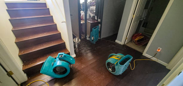 Best 24-hour water damage restoration  in Grandview, IL