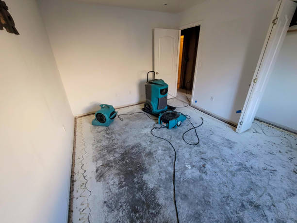 Best Fire Damage Restoration  in Grandview, IL