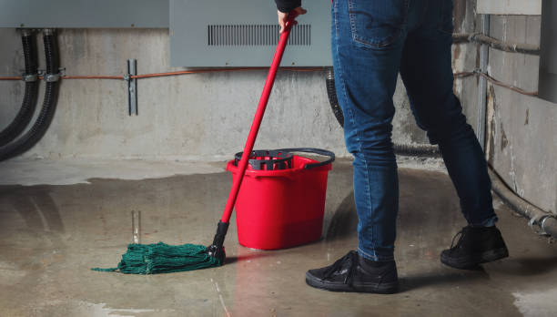 Best Carpet water damage restoration  in Grandview, IL