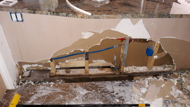 Best Water damage restoration near me  in Grandview, IL