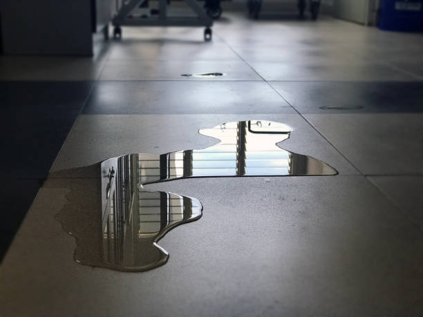 Best Water damage restoration near me  in Grandview, IL