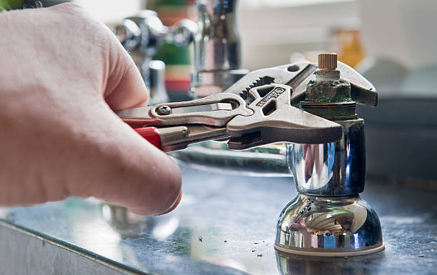 Best Mold removal after water damage  in Grandview, IL
