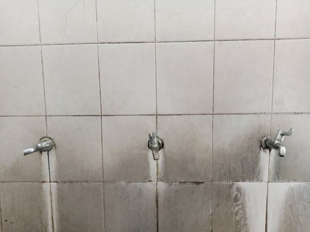 Best Local water damage restoration  in Grandview, IL