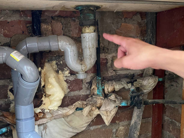 Best Water damage cleanup near me  in Grandview, IL